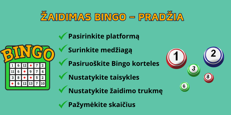 Bingo-zaidimo-pradzia